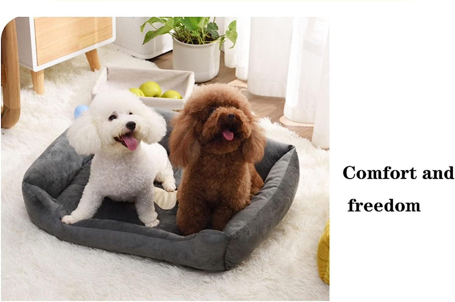 Super Soft Dog Bed with Waterproof Bottom - Warm Bed/Sofa For Dog & Cat - Cream & Navy Blue